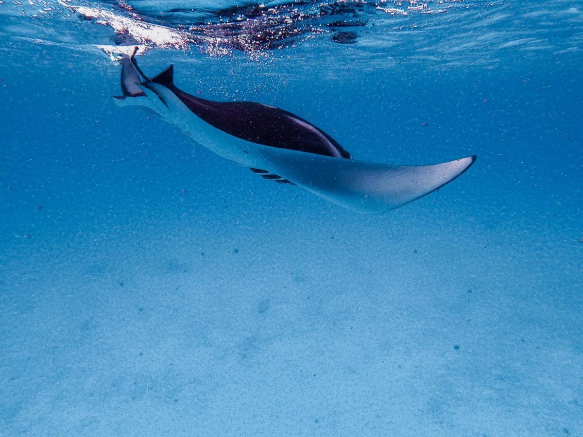 ホテル ぺルラ ダンゲティ ダンゲシ エクステリア 写真