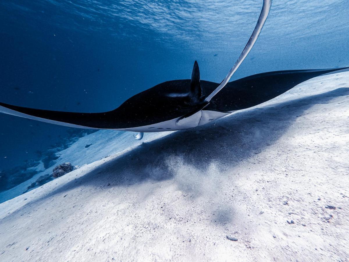 ホテル ぺルラ ダンゲティ ダンゲシ エクステリア 写真