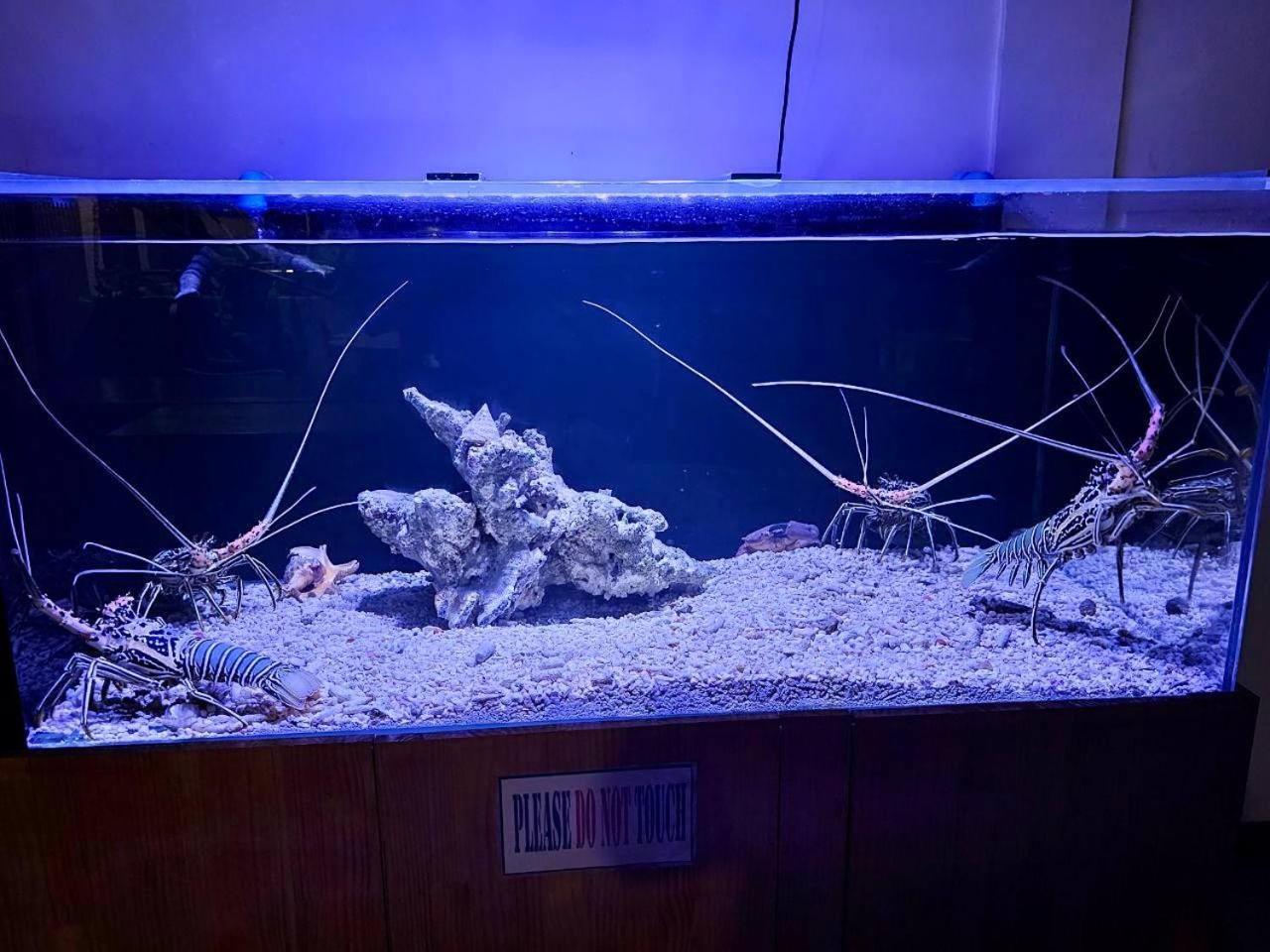 ホテル ぺルラ ダンゲティ ダンゲシ エクステリア 写真